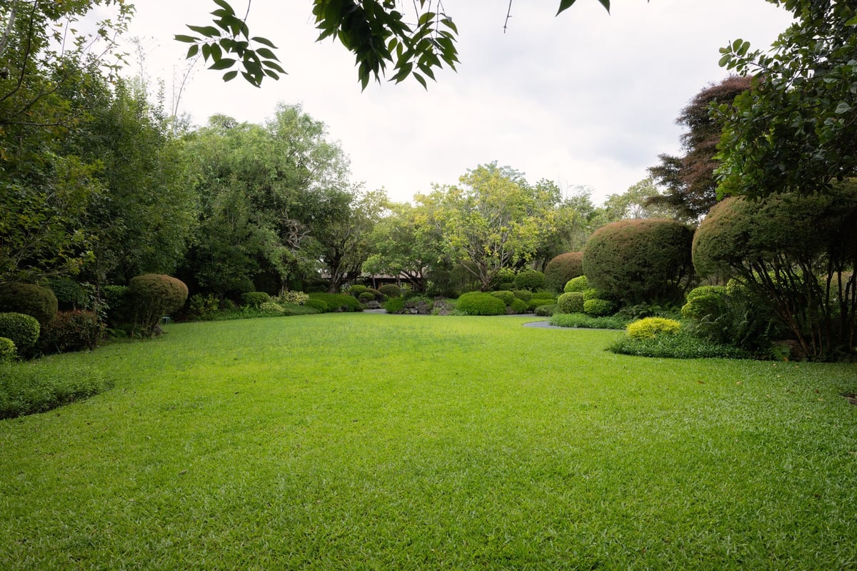 A lush green garden with a manicured lawn surrounded by plants and trees