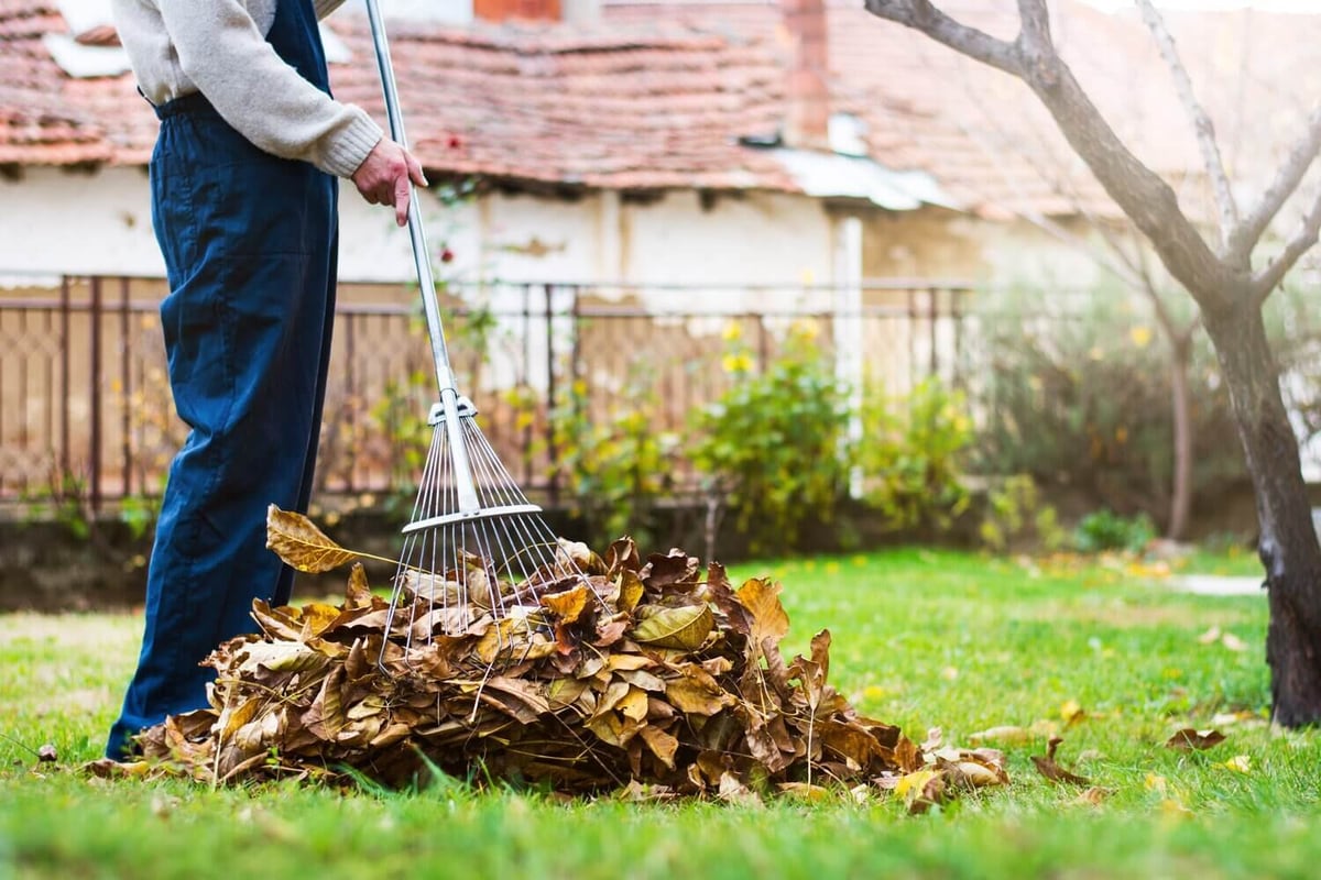 Person raking fallen autumn leaves in a residential backyard