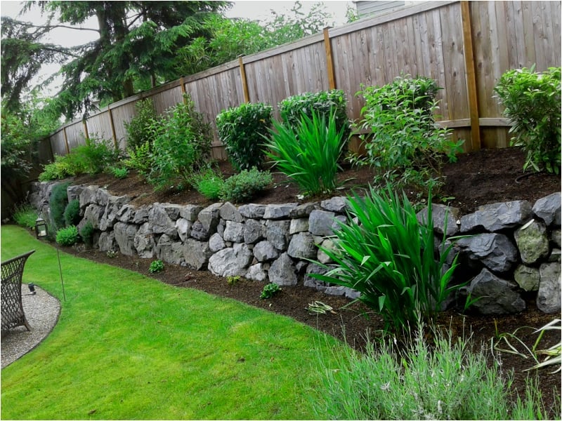 Backyard landscape with lush green lawn, stone retaining wall, wooden fence and mixed garden plantings
